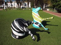 Zebras in Cape Town, Company's Garden